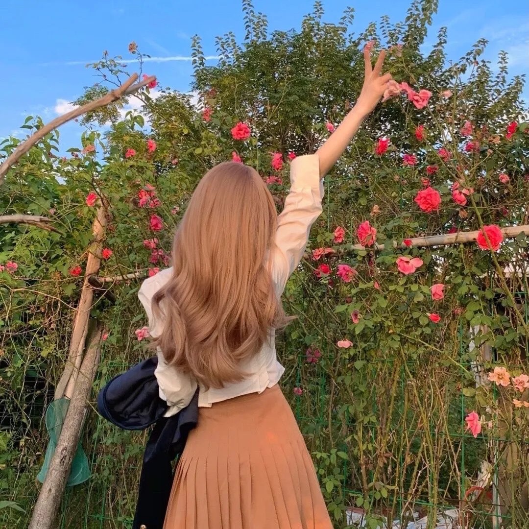 印花龙